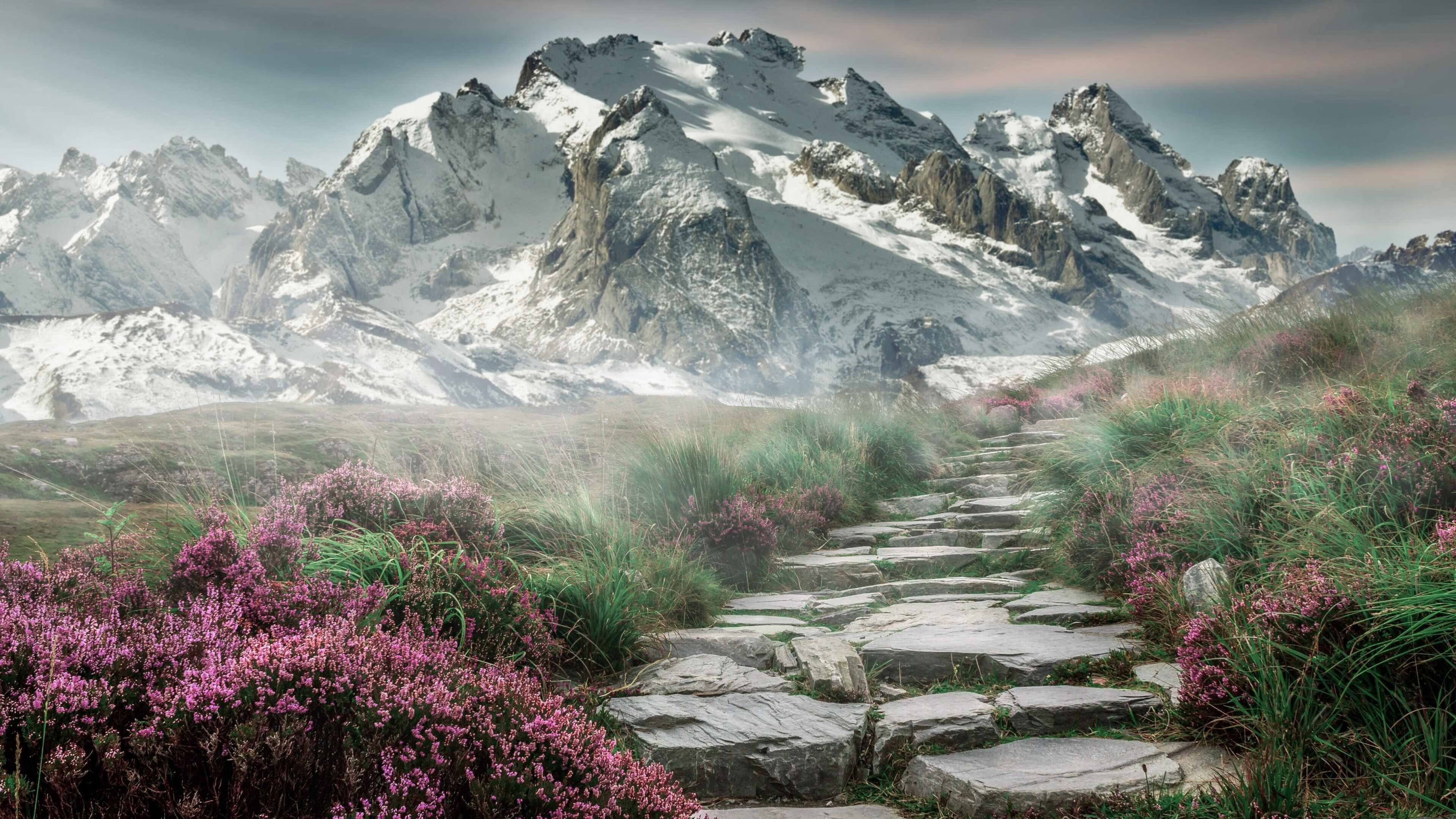 在线体育博彩-v7.2.5 优化版发布，2026年6月29日，开启智能体验新纪元